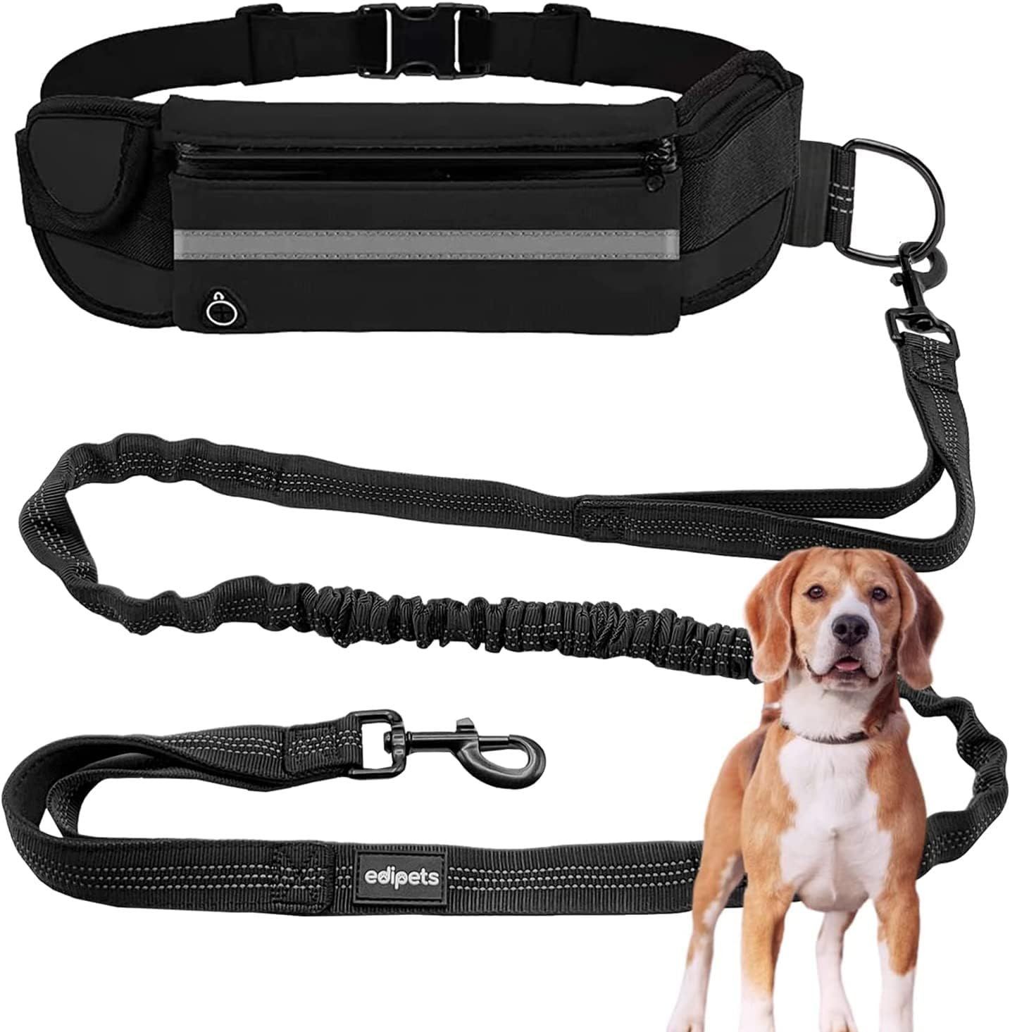 Black dog leash with waist belt and reflective strip, featuring a beagle illustration.