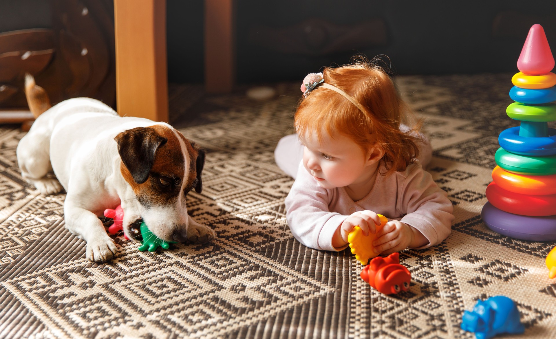 Baby and dog playing with toys