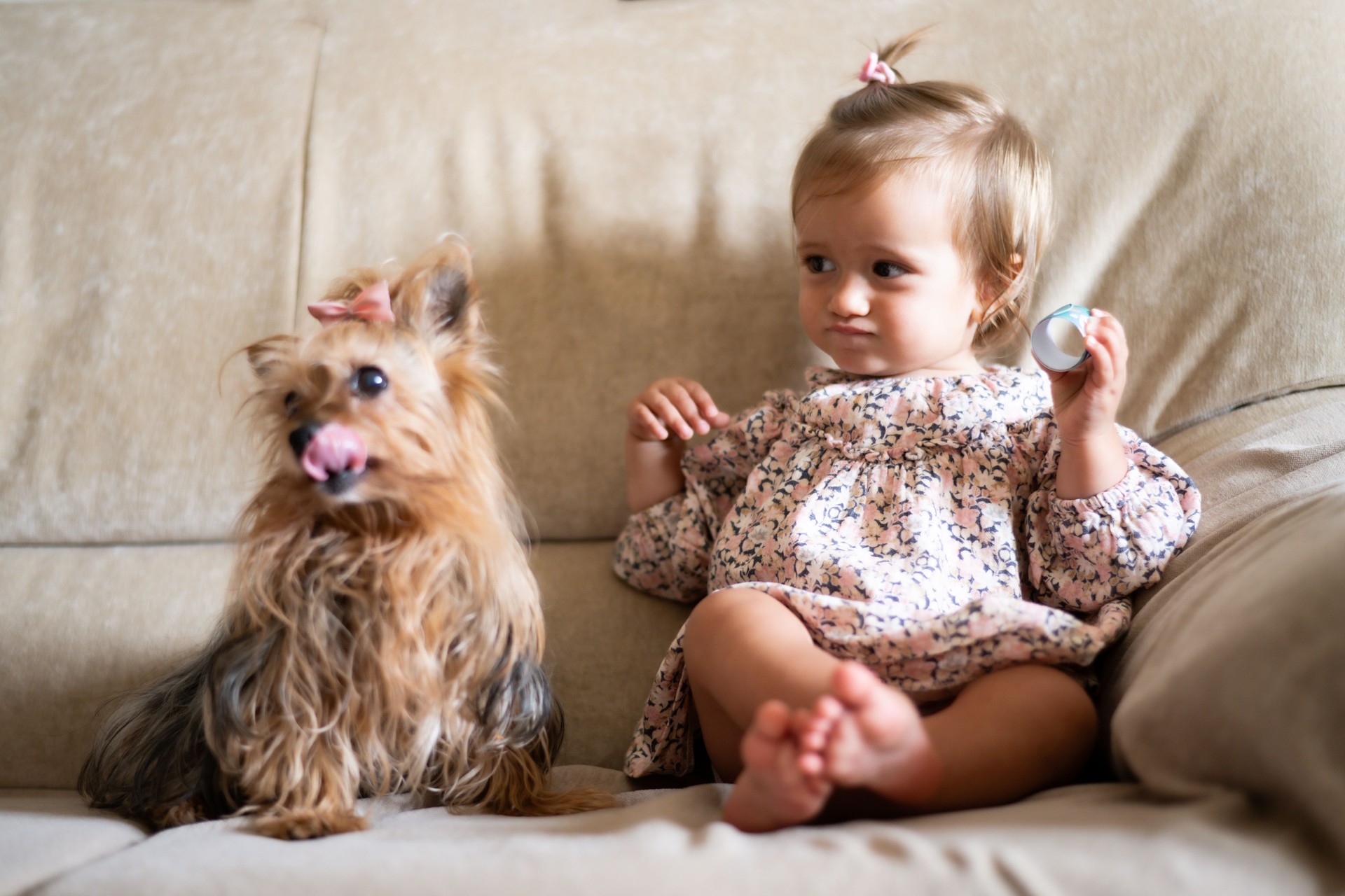 Charming Smiling Baby and Tiny Dog Having Fun Indoors.