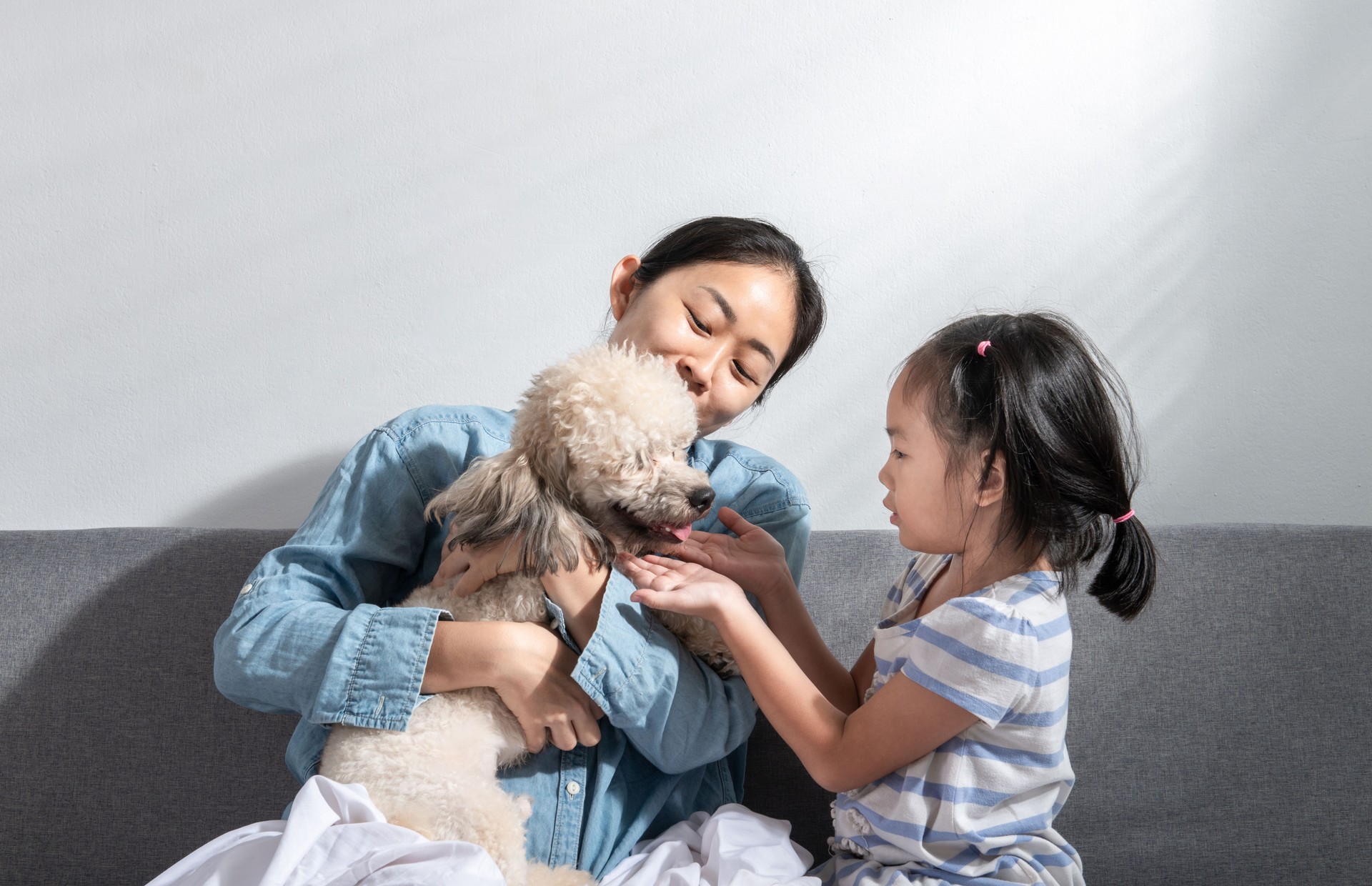 Young beautiful mother and little cute daughter have fun playing with dogs on the home sofa. Image of happy girl with dog mother relaxing at home. Happy family with pet friendship and care concept.